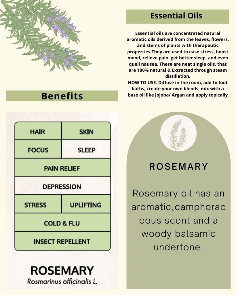 Rosemary Essential Oil -100% Pure and Natural - Satianu Aromatherapy for  hair growth, skin