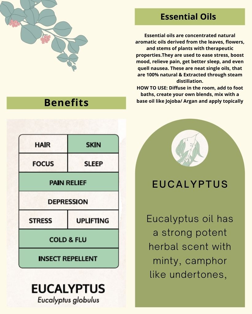 Eucalyptus Leaf Oil Benefits for Skin