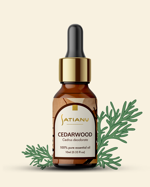 Cedarwood Essential Oil- Cedris deodorata