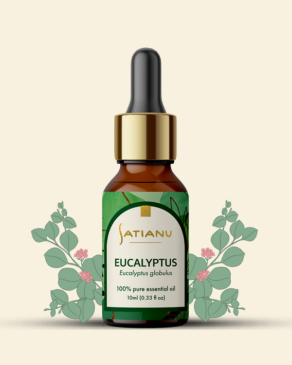 Eucalyptus Essential Oil - Eucalyptus globulus