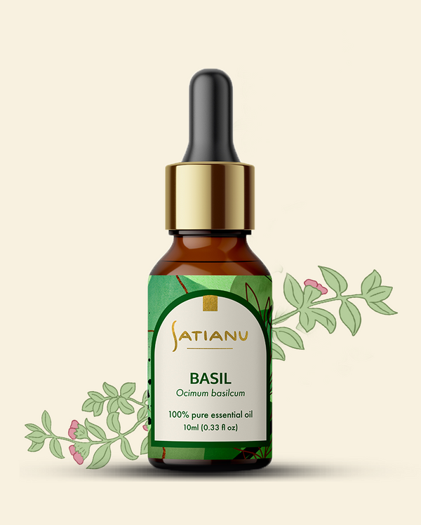 Basil Essential Oil - Ocimum basilicum