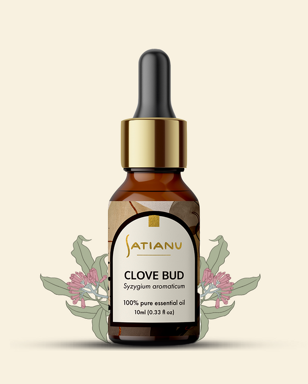 Clove Bud Essential Oil - Syzygium aromaticum